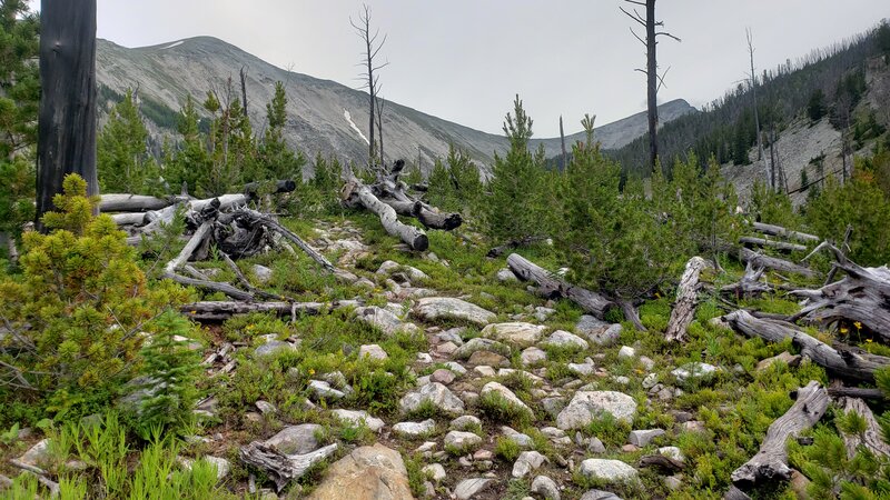 An example one of the tougher sections of rock garden you find on the last mile of Barker Lakes Trail.