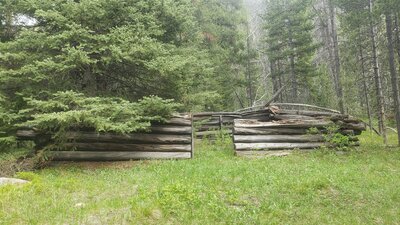 Old log cabin viewed along side the Lower Foster Creek Trail.