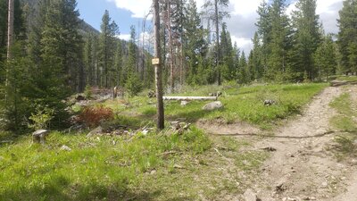 Travelling along the Lower Foster Creek Trail involves alternating between sections of singletrack, and sections of 4wd road. Here is what a typical trail junction looks like. It is an option to just stay on the road which may be faster for ascending.