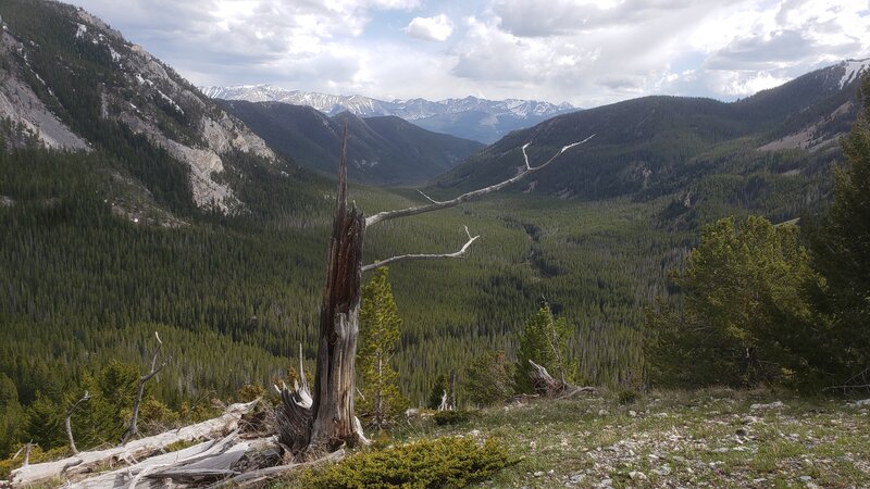 View looking down the Foster Creek Valley with the Pintler Mountains in the background.