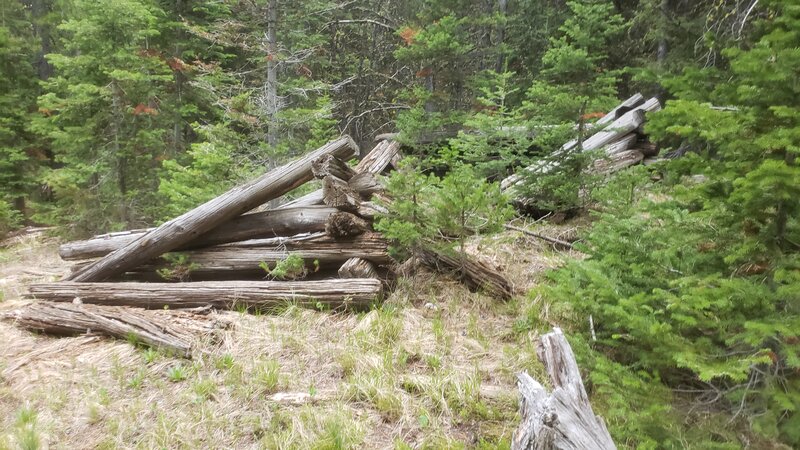 Old log cabin on the Foster Creek Trail.