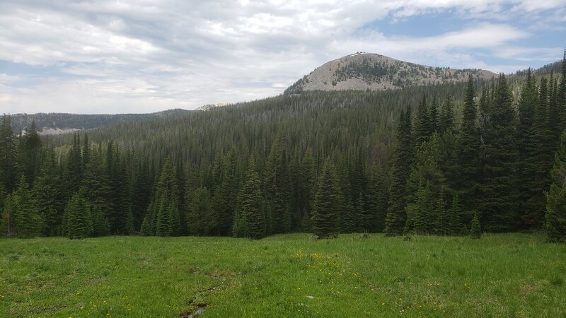 The meadows at the north end of the Foster Creek Trail provide great views of the mountains surrounding the Warm Springs Valley.