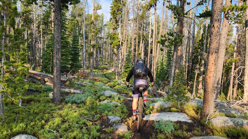 The Fairy Trail is a remote and seldom ridden section of the Continental Divide Trail.