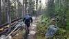 A mountain bike rider negotiates typical rocky terrain of the Nez Perce Trail.