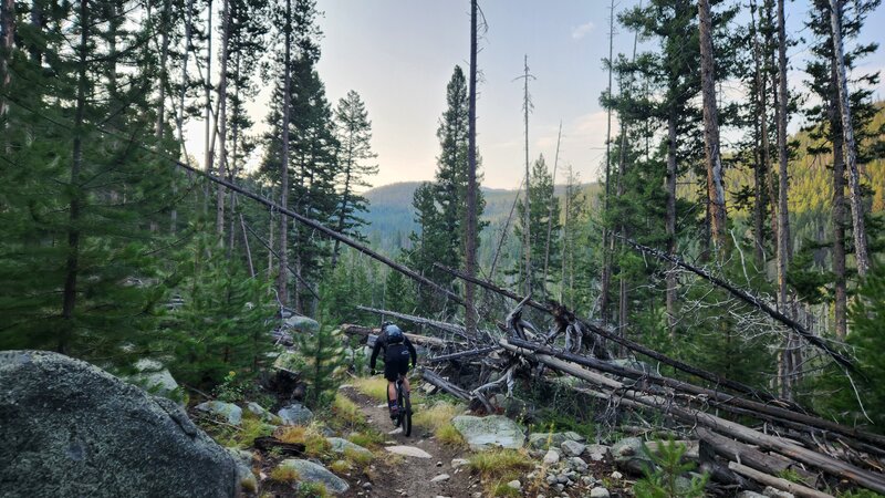 A mountain bike rider catches glimpses of the East Ridge Mountains on the Nez Perce Trail.