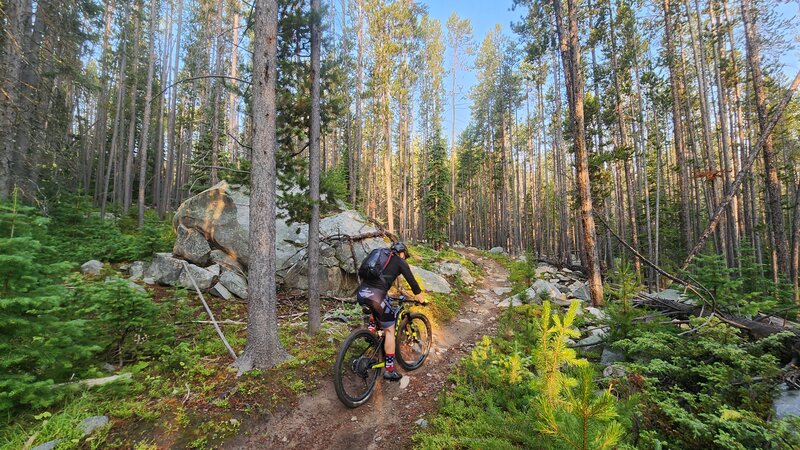 Mountain Biking through beautiful forest lined with granite boulders on the Nez Perce Trail.