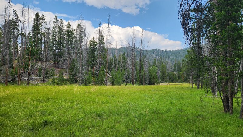 Passing by pretty marshland near the Southern end of the Blacktail Ridge Trail.