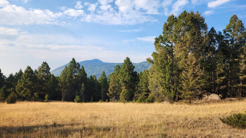 Locals might ask where this photo was taken, but I was on the trail and if I was to turn the camera a little to the left, you would see the Blacktail Trailhead Parking Lot barely 200 feet away.