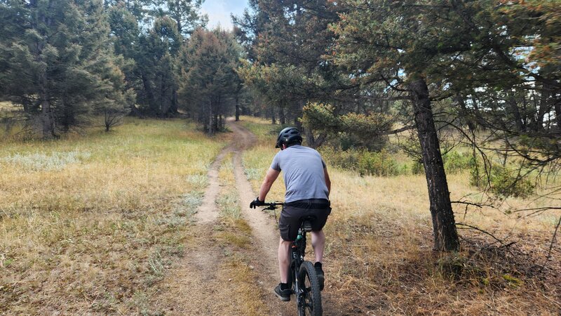 A mountain bike rider rides up the Blacktail Access Trail. Many sections like this one are like doubletrack, and the terrain is more open than the Blacktail Loop.