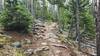 The most technical section of the Blacktail Loop Trail is harder to ride up than down!