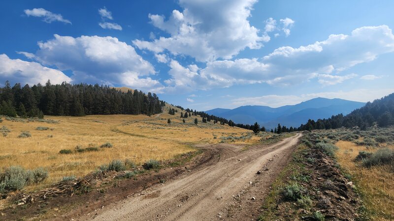 Photo shows the un-signposted access to Fish Creek Trail. Take the Doubletrack left off Limekiln Rd. On that first (right hand) bend, take a hard left on a faint doubletrack up towards the trees.