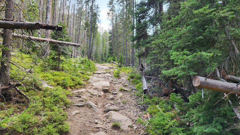 A steep and technical rocky section of Fish Creek.