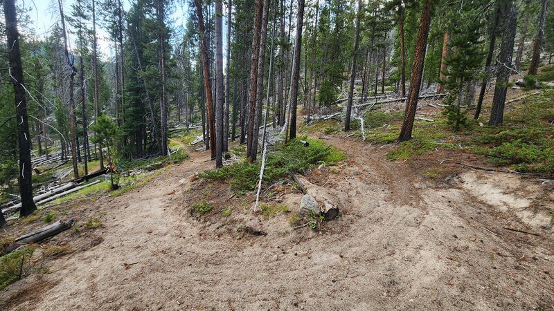 One of the many sandy switchbacks of Toll Canyon Trail.