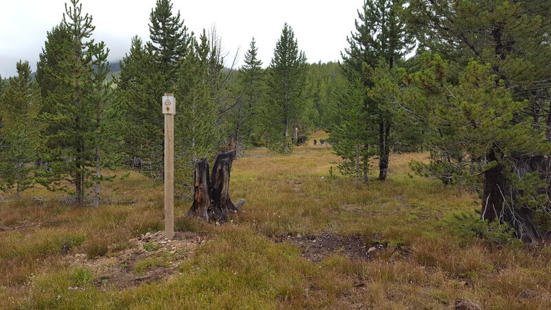 The start of trail on the Eastern side is not well formed, but has some nice trails markers. Take GPS in case you can't find them!