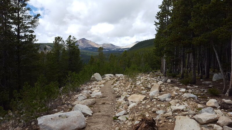 Views of the Pintler Mountains in the distance on the Continental Divide Trail.