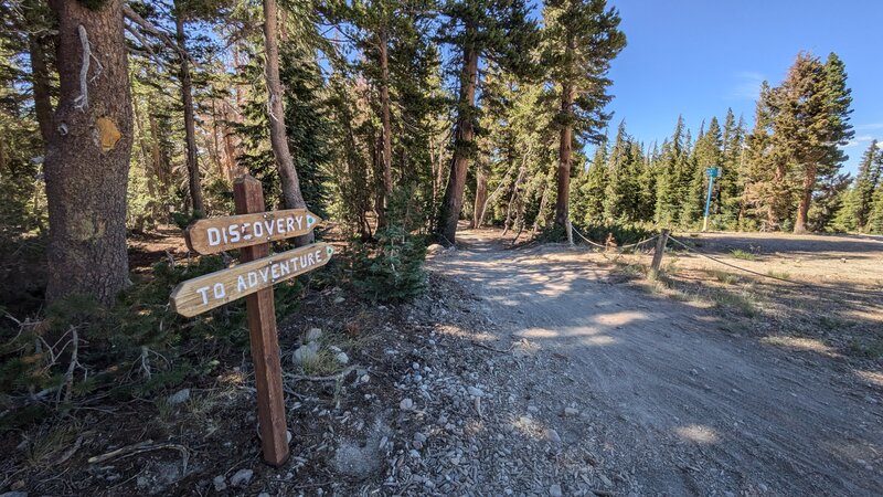 entry into discovery trail