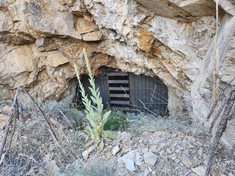 The mine at the end of the road.