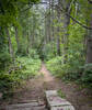 You'll even find an abandon staircase along the trail.