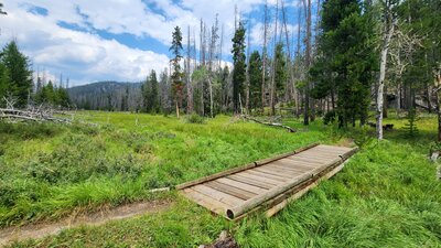 The Beaver "Ponds" are marshy clearings near the Blacktail Ridge.