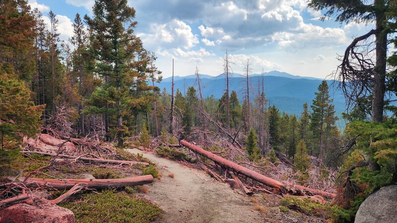 The view from the high point of Beaver Ponds Trail. The pink coloration is fire retardant from a small forest fire that occurred during the summer of 2024.