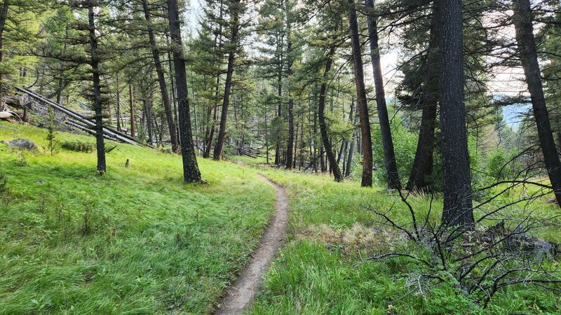 Skeeboggan Trail winds through trees and grassland.