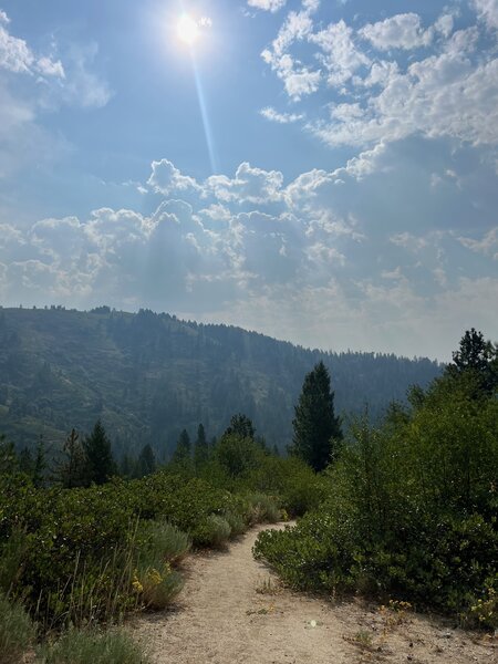 Headwaters trail looking towards the Boise Ridge Road.