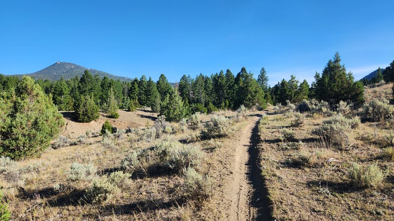 The Windmill Trail is a non-motorized trail in the Pipestone Area.