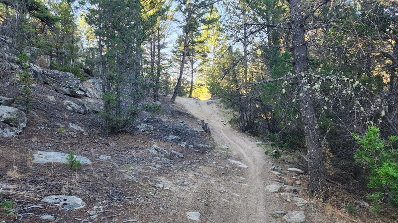 Typical sandy and lightly rocky conditions of the Windmill Trail in Pipestone.