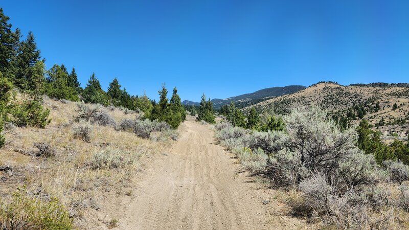 The sandy conditions and moto bumps on BLM #15 trail looking uphill.