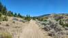 The sandy conditions and moto bumps on BLM #15 trail looking uphill.