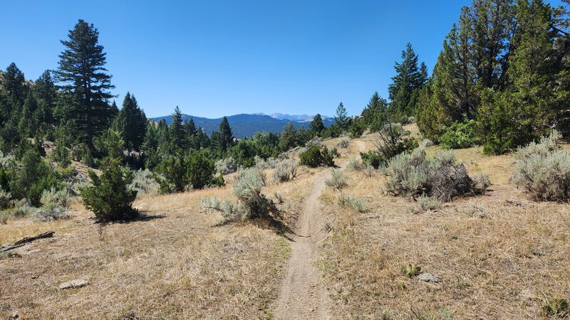 Dry Creek Trail south towards the Highland Mountains.