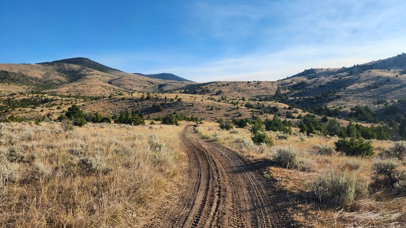 BLM #3 Trail winding through the valley at Pipestone.