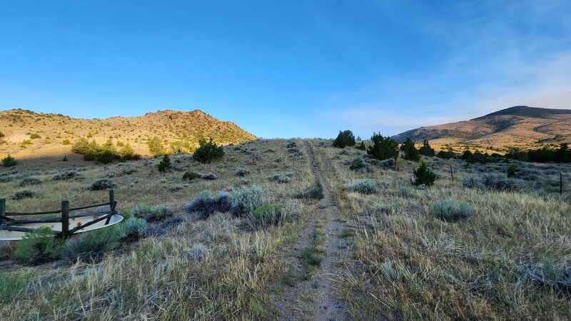 The Easter Lily Trail starts near an old water trough.