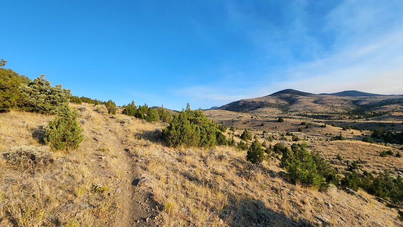 The Easter Lily trail traverses across a broad ridge with the golden hills of Pipestone as a backdrop.