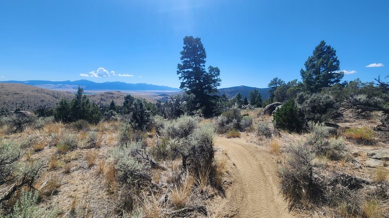 The BLM #13.5 Trail winds through sagebrush with the Tobacco Root Mountains in the background.