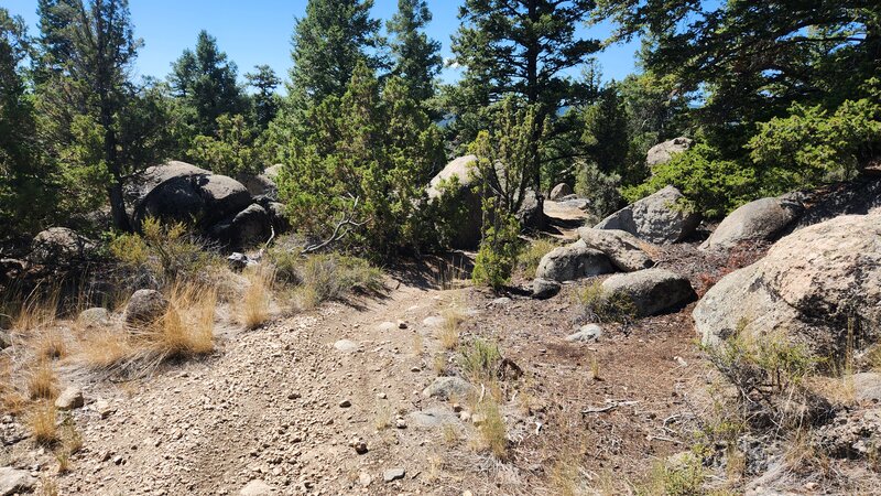 The upper part of the BLM #13.5 Trail winds through granite boulders and light forest.