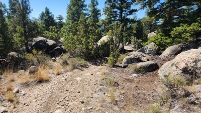 The upper part of the BLM #13.5 Trail winds through granite boulders and light forest.