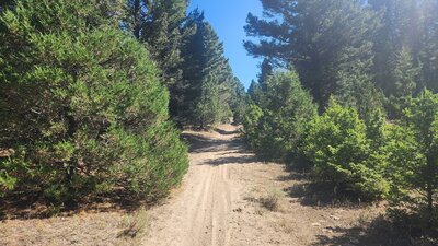 Typical sandy conditions of Halfway to Happy Trail.
