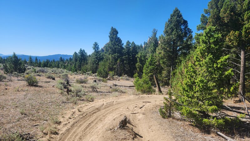 Near the top of Halfway to Happy, the trail emerges from the trees and you get some nice views of sagebrush meadows and mountains in the distance.