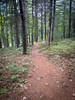 Smooth trails in a beautiful setting.