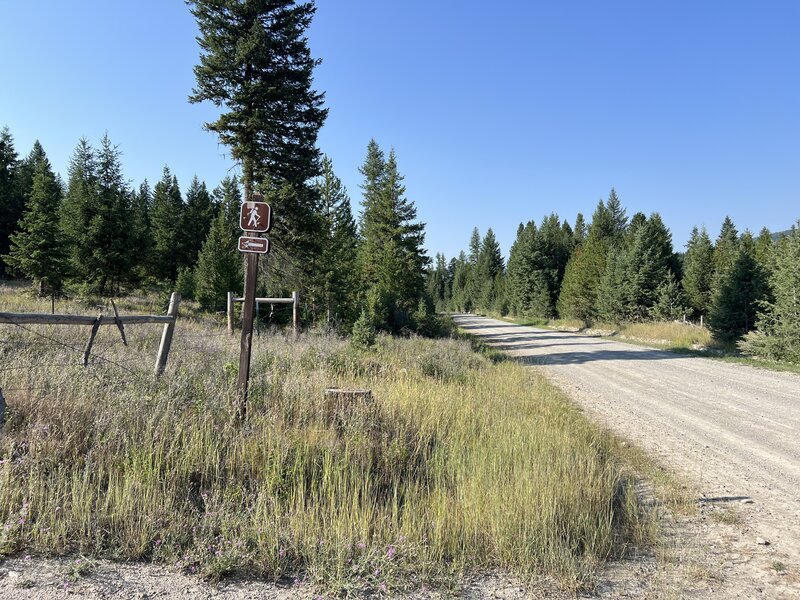 The left turn off Thompson River Rd to the Murr Peak Trailhead.