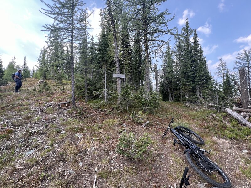 There's a cairn so obviously a trail at one time along that ridge.