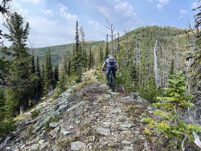 More Tuchuck Peak trail ridge riding.