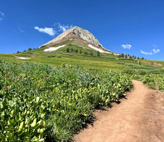 Looking up at Engineer Mountain