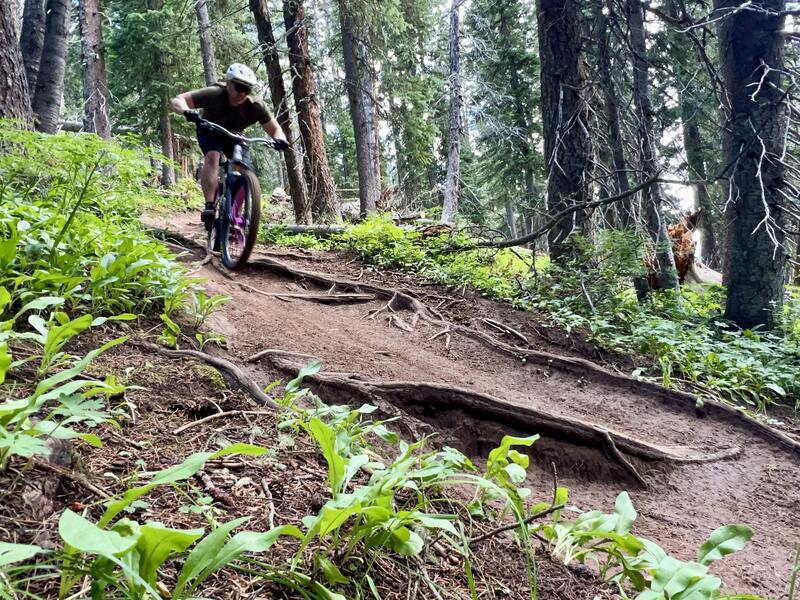 Descending the Coal Creek Trail.