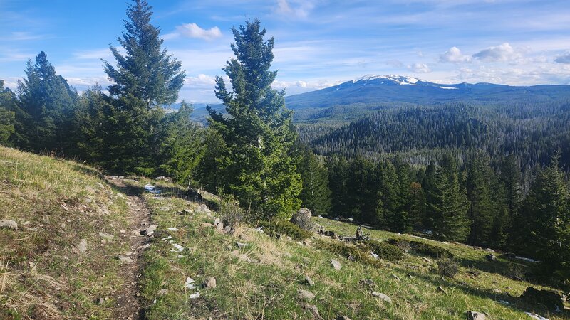 Nice views of the surrounding mountains from the Continental Divide