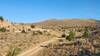 The Washout Trail has a section that is like doubletrack at it's Western end. Photo is looking west and the Access Road is just hidden from view.