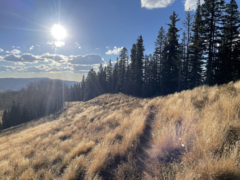 Top of Salt Creek before dropping in.