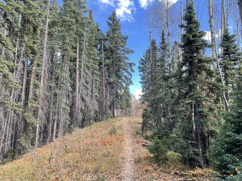 Getting to final climbing area of Ryman.