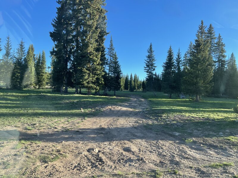 Cruise up Taylor Creek Road.